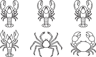 Set of black and white line art illustrations of lobsters and crabs for sea food design © Mostafizur