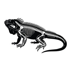 Fototapeta premium Iguana skeleton x-ray vector illustration isolated on white background.