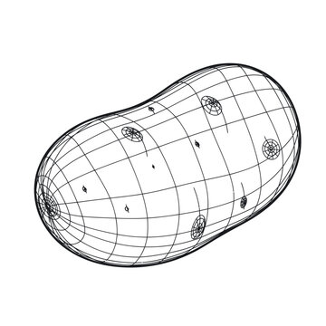 Wireframe potato illustration, 3D geometric tuber model, isolated on white background