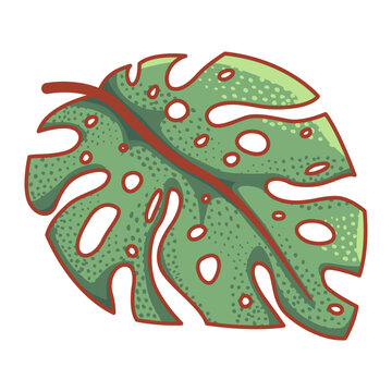 stylized green monstera leaf illustratiostylized green monstera leaf illustration