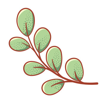 hand-drawn style botanical branch