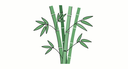 Obraz premium Simple illustration of green bamboo stalks with delicate leaves against white