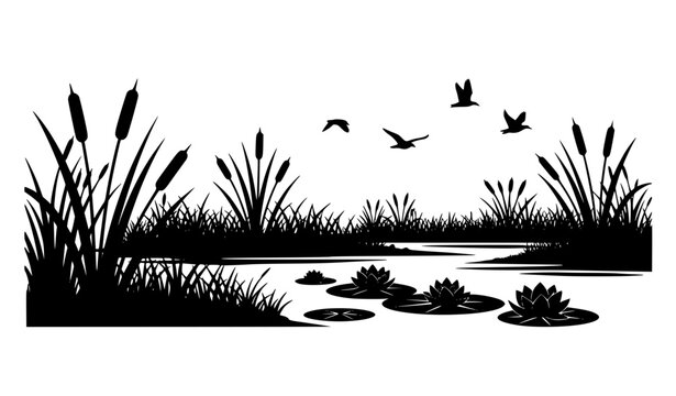 Black and white wetland silhouette vector landscape with reeds birds and marsh plants isolated on white