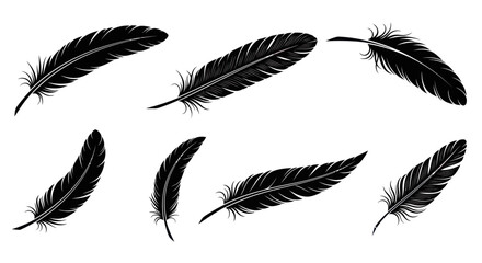 Set of Black Feather Silhouettes on White Background, Isolated © Roni