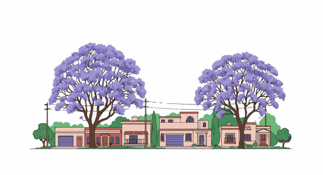 Suburban street scene with blooming jacaranda trees and houses