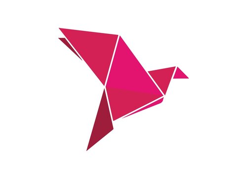 Bkash Logo Desing