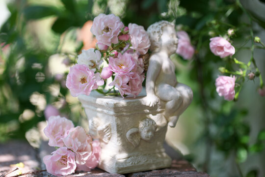 ピンクの小さな薔薇に囲まれた天使
