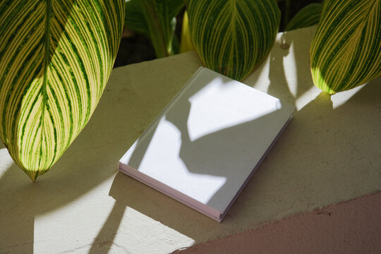 book mockup on tiled background with Canna generalis leaves