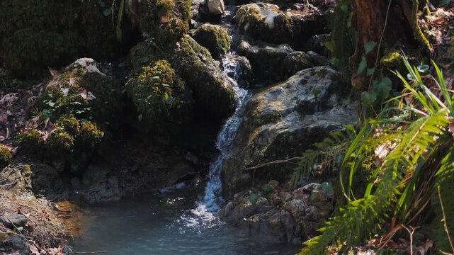 Slow Motion Close-up: Mountain Stream Water Flowing Over Mossy Rocks