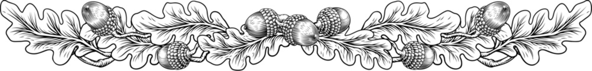 An oak tree leaves and acorns design element in a vintage woodcut etching illustration style. © Christos Georghiou