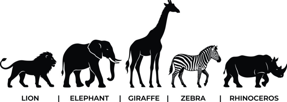 African animal silhouettes on a white background including a lion elephant giraffe zebra and rhinoceros high quality professional detailed modern elegant