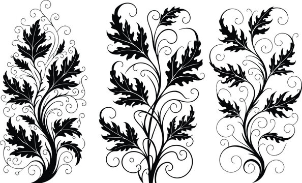 Black and white elegant acanthus leaf decorative vector design with swirls