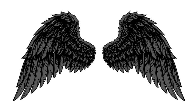 Pair of detailed black feathered wings isolated on white