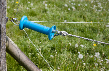 Weidezaun Isolator 7 © galileo120