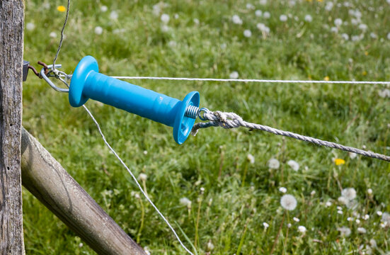 Weidezaun Isolator 7