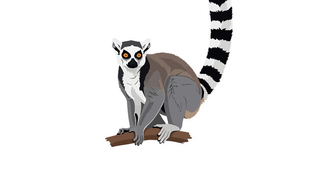 Ring-tailed lemur with long striped tail perched on a wooden branch