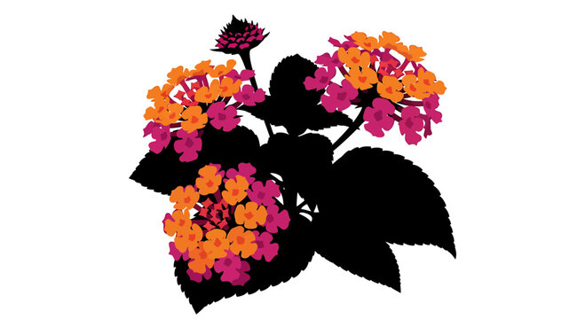 Pink and Orange Lantana Camara Flowers with Black Leaf Silhouette