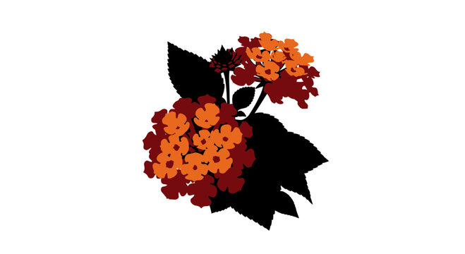 Lantana Camara Flower with Orange Petals and Black Leaves