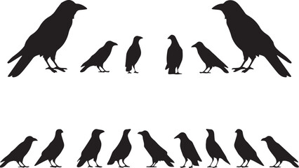 Collection of Black Crow and Raven Silhouettes Vector Illustration Set for Halloween, Gothic Design, Wildlife Projects, and Nature-Themed Graphics Featuring Various Standing Bird Poses. © raja