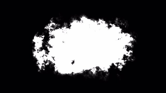 Animated Liquid Ink Splash expansion with alpha channel, Smooth Liquid Ink bloom Alpha Matte for Video Editing. ink spot spreading from center. Video revealer, expanding paint stains on white backdrop