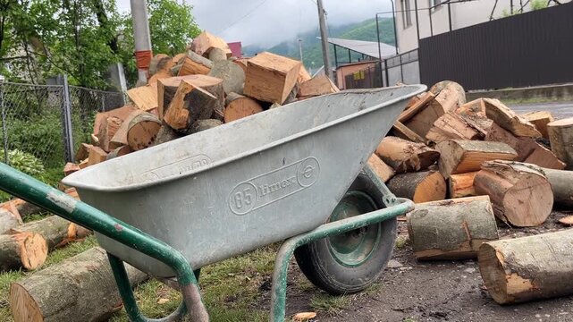 firewood transport across yard with wheelbarrow