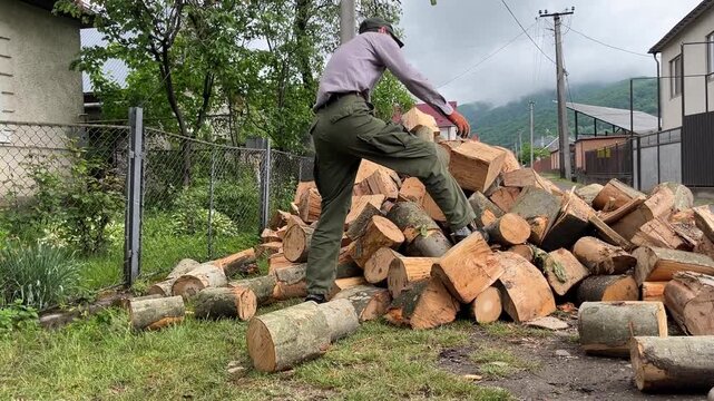 everyday rural work handling a pile of firewood in yard