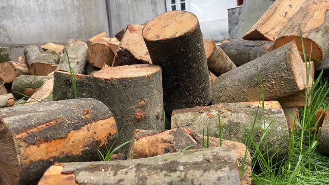natural firewood stacked on green grass