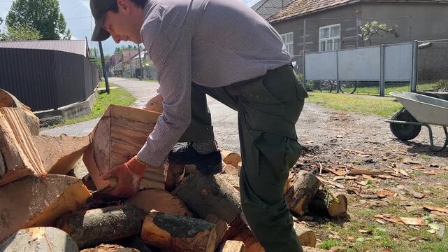 young man distributing firewood in yard