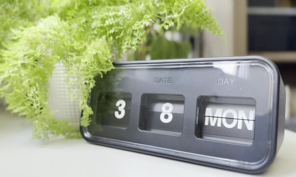 Flip calendar clock changing from Sunday to Monday, Tuesday, Wednesday, Thursday, Friday, Saturday, placed beside a green fern plant on a white surface.