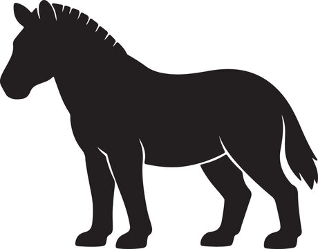 silhouette of a zebra