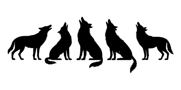 Set of wolf silhouettes in different styles, clean vector illustrations, Set of howling wolf silhouettes illustration of wild animal in various poses isolated on white background, outdoor adventure.