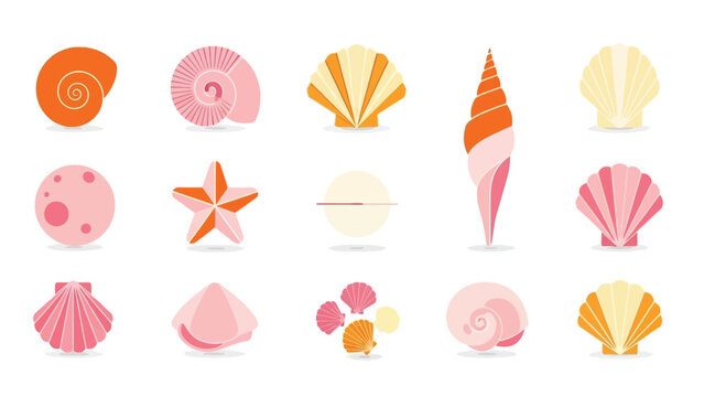Collection of various colorful sea shells and marine life icons set.