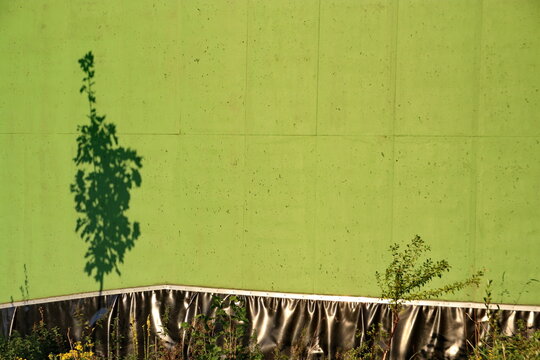 Baumschatten an einem G&uuml;llebeh&auml;lter