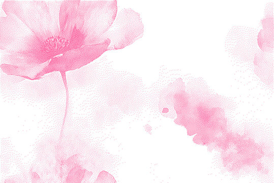 Delicate pink poppy watercolor bloom with soft washes on white background for feminine design