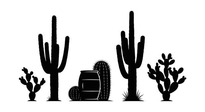 Cactus Desert Landscape with Barrel.