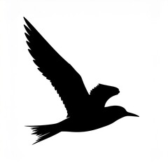 Obraz premium Black bird flying with wings spread in sky
