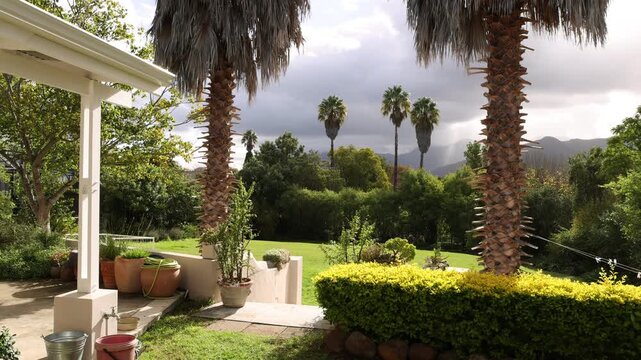 palm trees and clouds, Stanford, South Africa