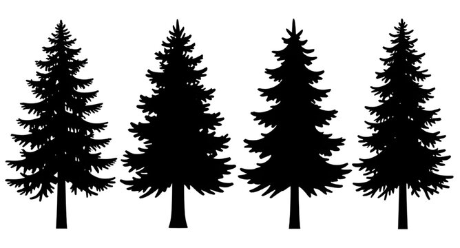 fir, pine, spruce, tree, silhouette, black, forest, evergreen, woodland, conifer, nature, landscape, vector, illustration, outdoor, winter, foliage