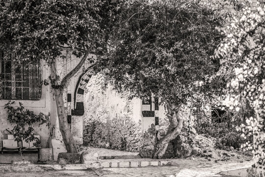 Ruelle arbor&eacute;e