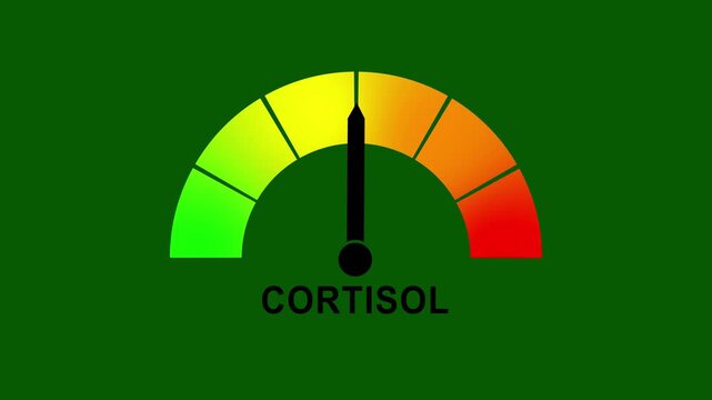 Animated digital gauge displays Cortisol rate level, ranging from safe low to critical high, indicator changes through green, yellow, and red levels on dashboard.animation
