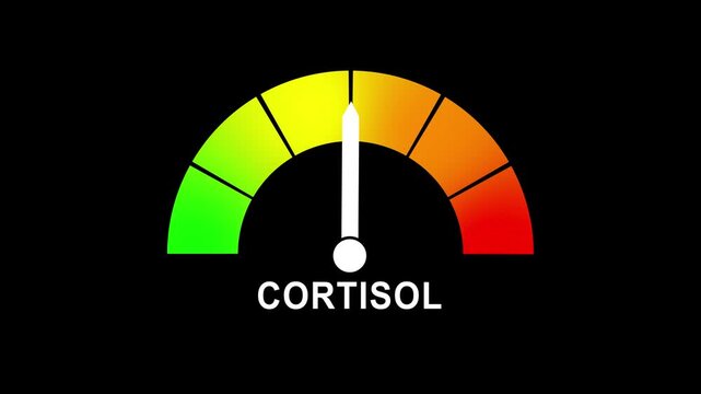 Animated digital gauge displays Cortisol level, ranging from safe low to critical high, indicator changes through green, yellow, and red levels on dashboard.animation