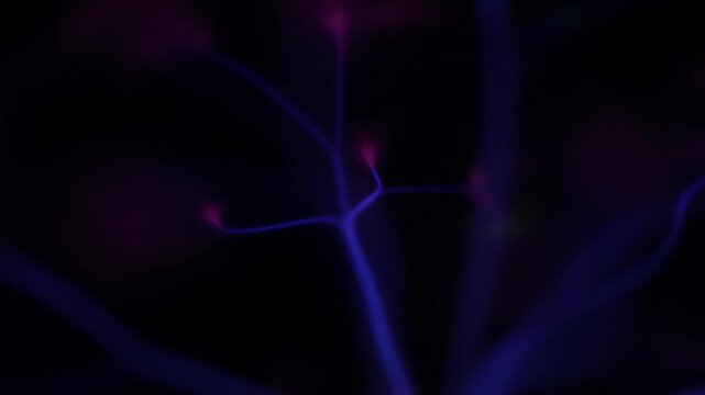 Close up view of thin violet plasma tendrils branching out like a neural network against a black background, showing constant energy flux and movement.