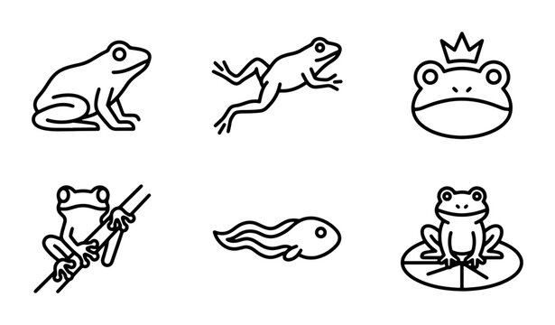 Vector Icons of Frogs and Tadpoles, Simple Line Art, Amphibian Life Cycle, Royalty-Free Graphics