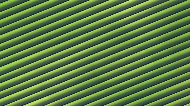 Aurora borealis flowing behind frosted glass ridges in rich olive green and chartreuse tones with botanical specular glow on deep dark canvas