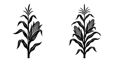 Corn stalk silhouettes against a white background © Tanzu