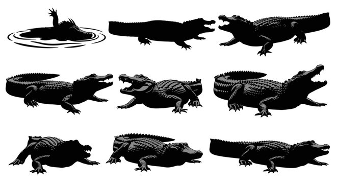 The image showcases various crocodile silhouettes swimming and standing in different poses on a white background image-163.ai