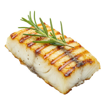 Grilled cod fillet with golden-brown char marks and a vibrant rosemary sprig, isolated on a transparent background with abundant copy space. Concept of gourmet seafood