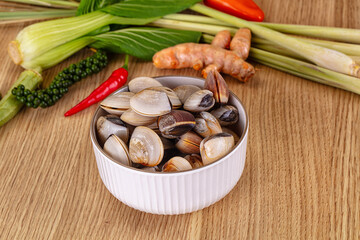 Raw fresh wild clams mollusc © Andrei Starostin