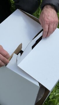 Male hands fixing a damaged birthday cake box after a white 70th birthday cake fell on grass outdoors