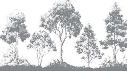 Hand drawn tree trunk cross section with organic detail © VECTOR HOUSE